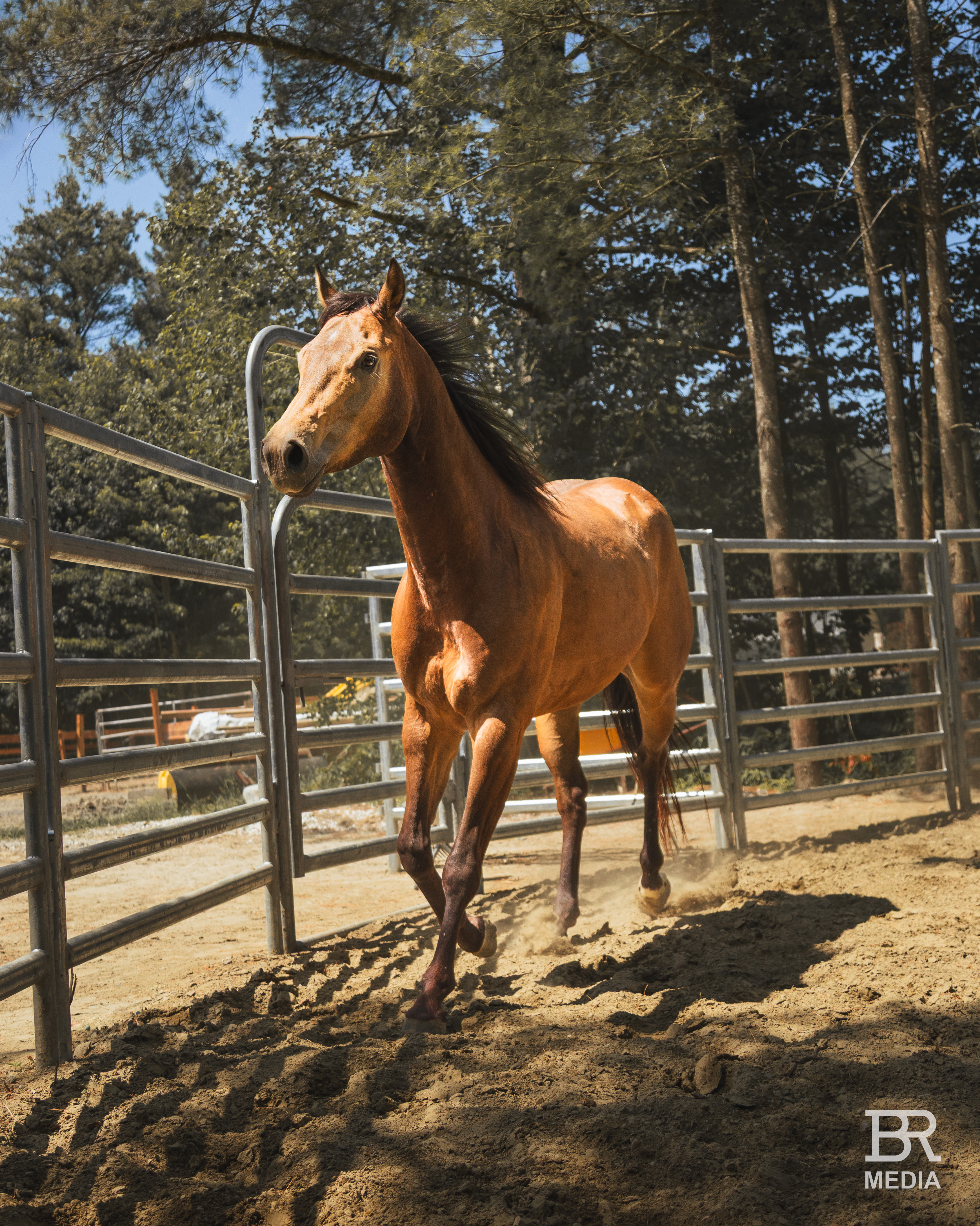 Western Lifestyle photography by Backcountry Ranching Media
