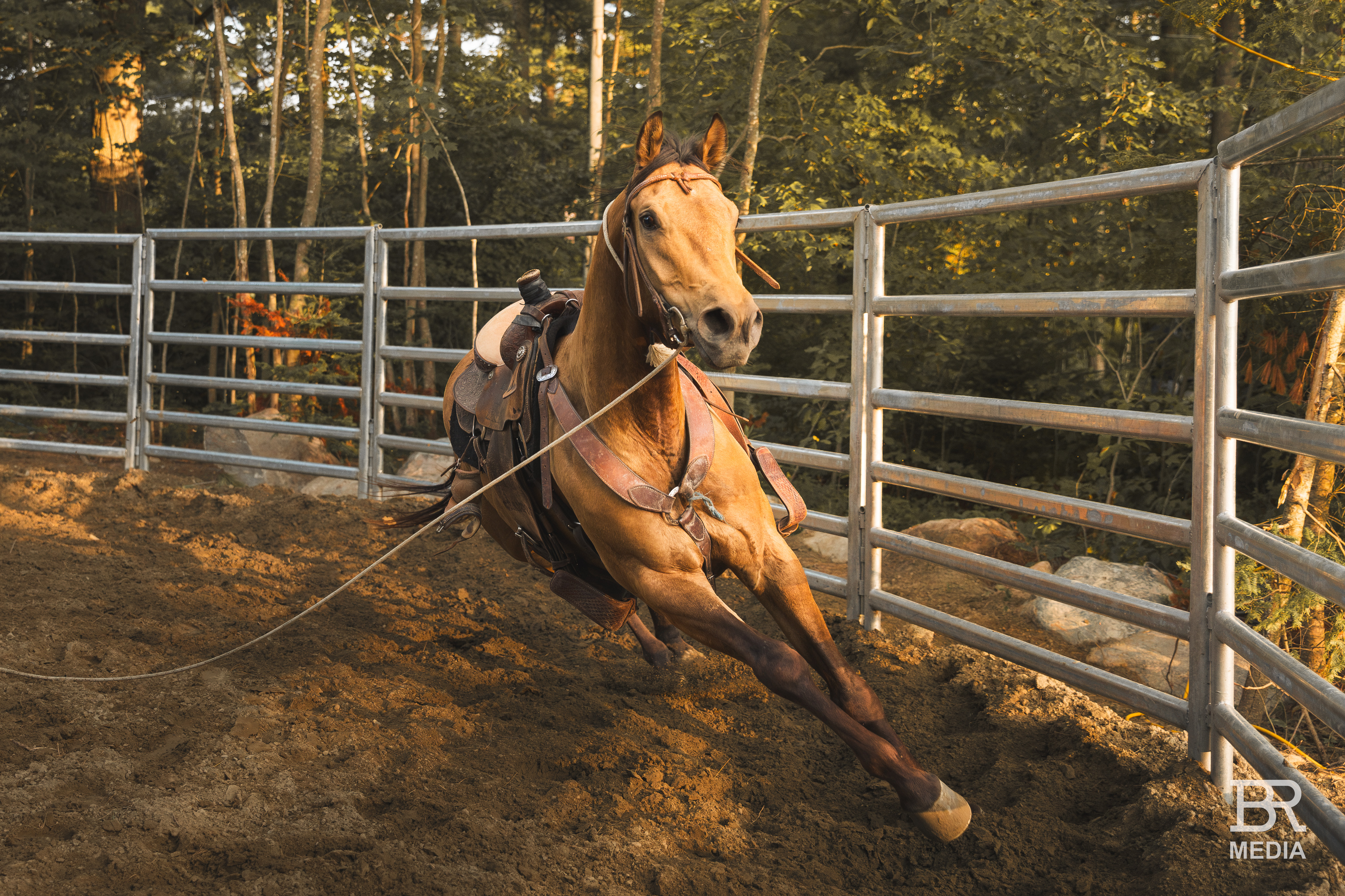 Western Lifestyle photography by Backcountry Ranching Media